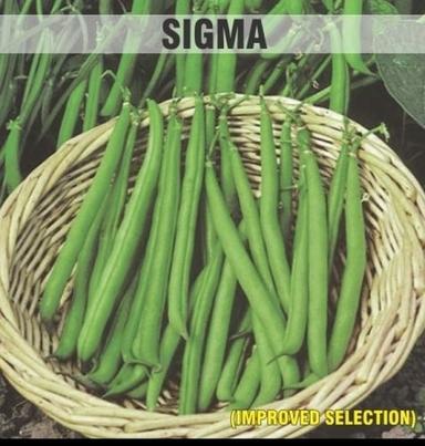 Sigma Beans Seeds