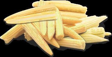 Baby Corn