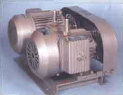 Rotary Vaccume Pump