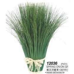 Polished Spring Onion Grass 