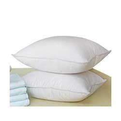 Super Microfiber Cushions