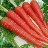Desi Red Carrot Seed