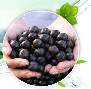 Acai Berry Extract