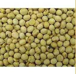 Finest Grade Soyabean Seeds