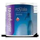 Royale Shyne Paint