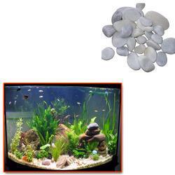 Aquarium Pebbles For Fish Tank