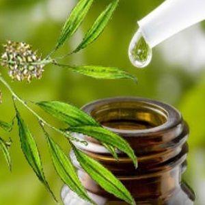 Tea Tree Essential Oil