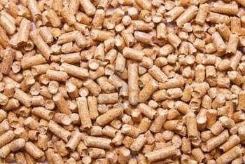 Compound Cattle Feed