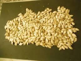 Dry Neem Seeds