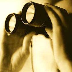 Private Investigator Services