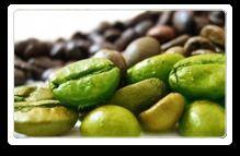 Green Coffee Bean Herbal Extract