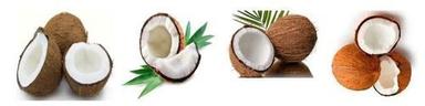 Organic Coconuts