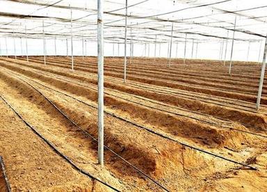 Drip Irrigation System And Bed Making