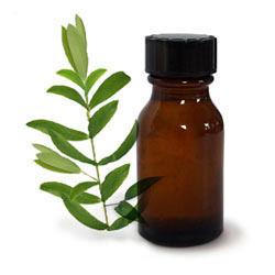 Tea Tree Oil