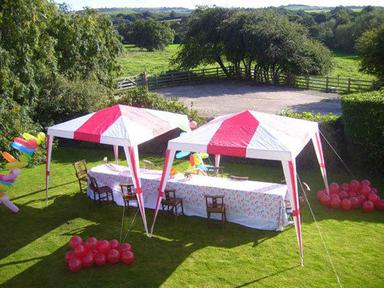 Garden Tents For Party And Events Use Age Group: 1-10
