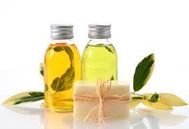 Eucalyptus Oil