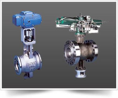 Concentric Segmental Ball Valve