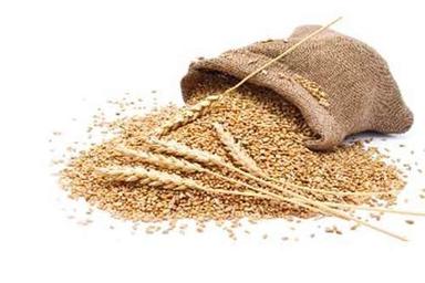 Mattress Wheat Grain