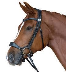 Bridle