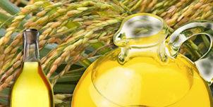 Rice Bran Oil