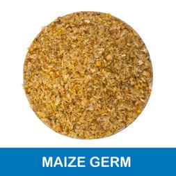 Maize Germ