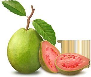 White Guava Puree
