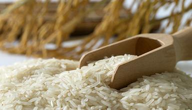 Hybrid Rice