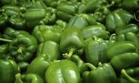 Fresh Green Capsicum