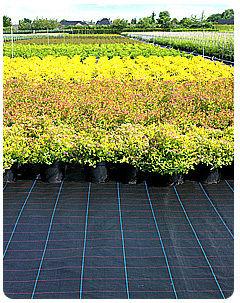 Ground Cover For Agriculture