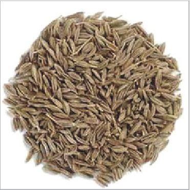 Cumin Seed