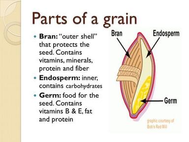 Packaged Wheat Seeds