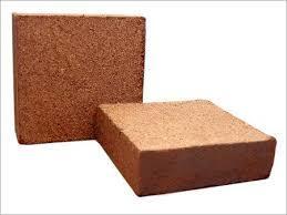 Cocopeat Bricks
