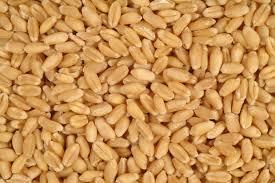 R. K. Wheat