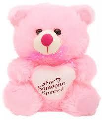 Pink Color Teddy Bear