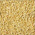 Multi Color Green Millets