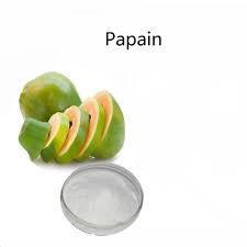 Papain Enzyme