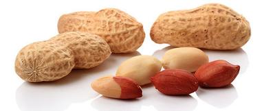 Brown High In Protein Peanuts