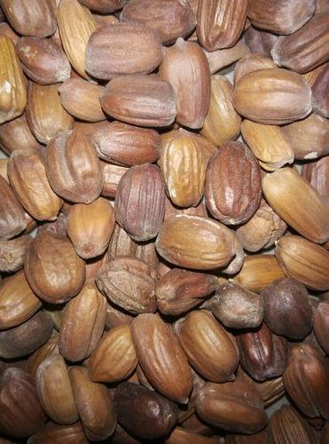 Indian Origin Jojoba Seeds Admixture (%): 0%