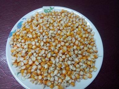 White Maize Corn
