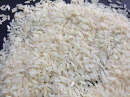 Samba Masoori Rice