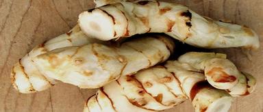 Alpinia Galangal Oil Age Group: All Age Group
