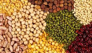 Indian Pulses 