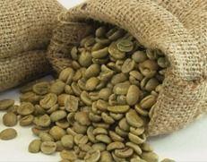 Organic Green Coffee Bean