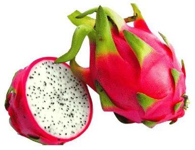 Pink Dragon Fruit