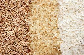 Common Raw Rice