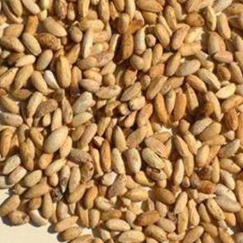 Neem Seed Total Extract Application: Industrial Purpose