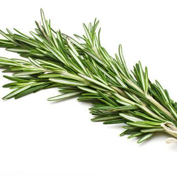 Rosemary Extract Application: For Industrial Purpose
