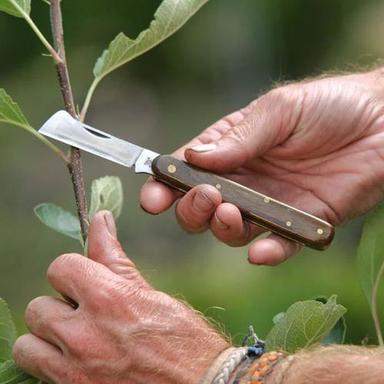 Budding Grafting Knife