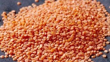 Whole Red Color Masoor Dal