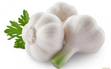 Fresh Garlic Vegetable